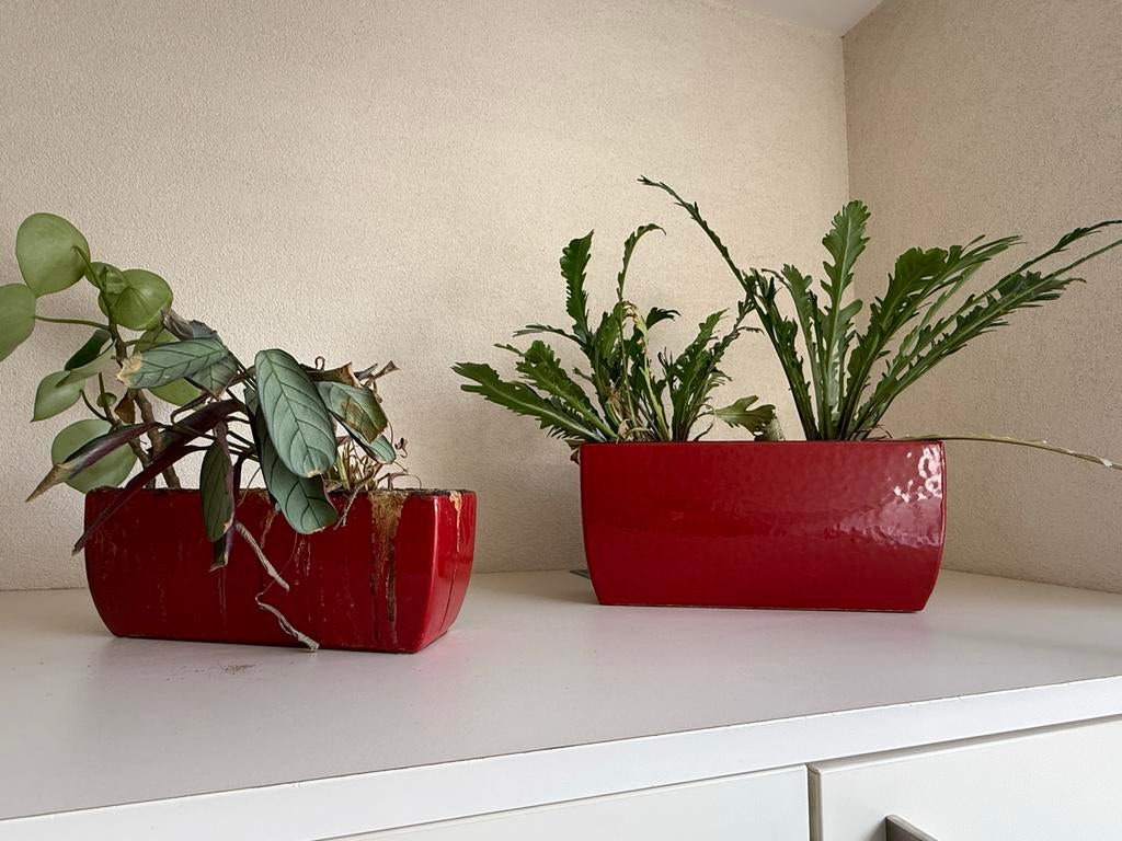 Set van 2 rode plantenbakken, Ophalen, Overige materialen, Gebruikt, Minder dan 30 cm