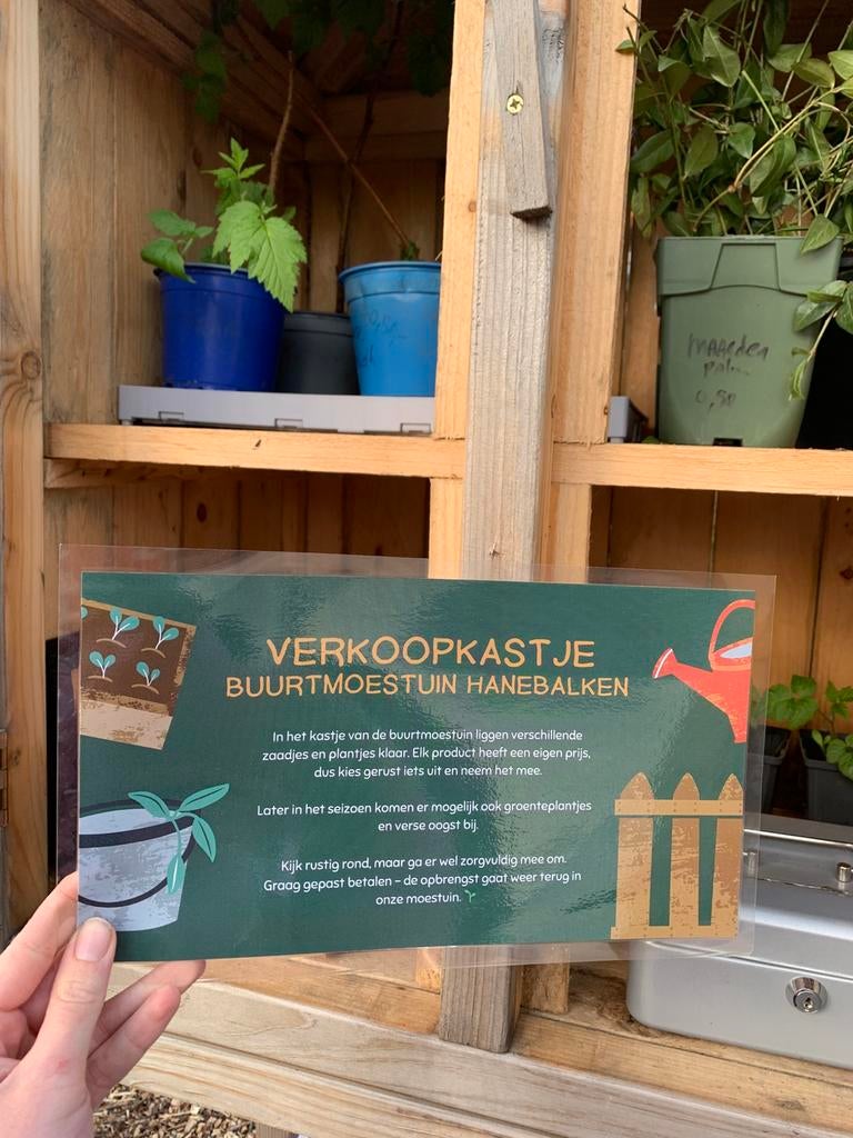 Groenten en bloemen zaadjes uit buurtmoestuin, Ophalen, Volle zon