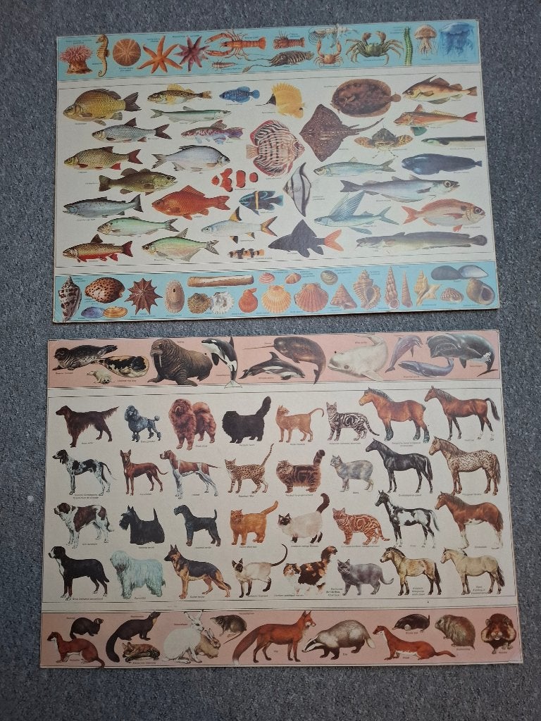 Biologieplaten, Ophalen, Huis en Inrichting