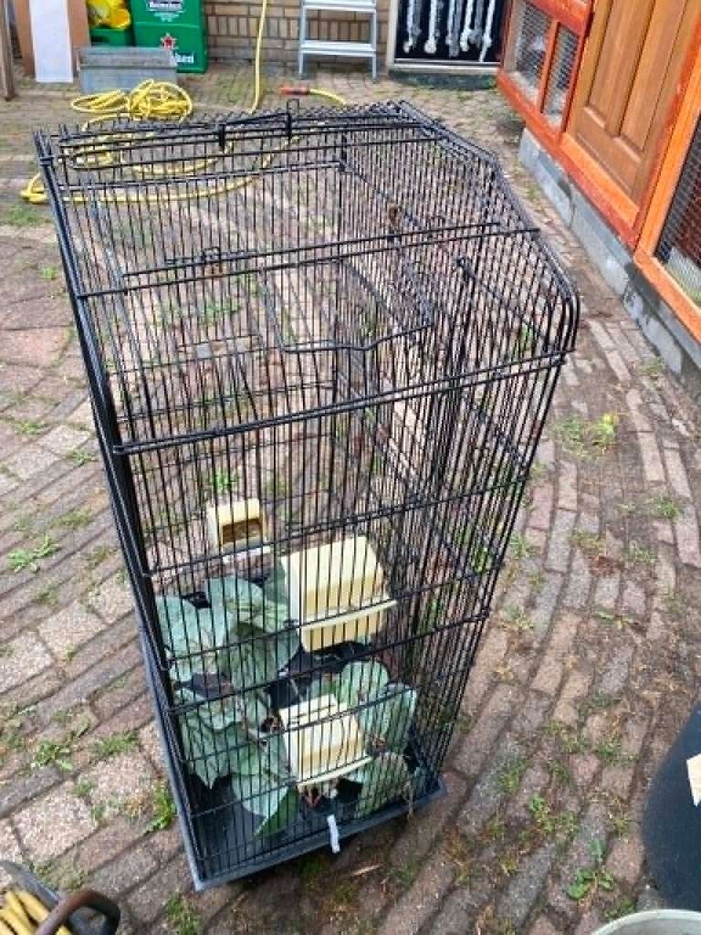 vogelkooi, Dieren en Toebehoren, Ophalen of Verzenden, Zo goed als nieuw, Metaal, Vogelkooi