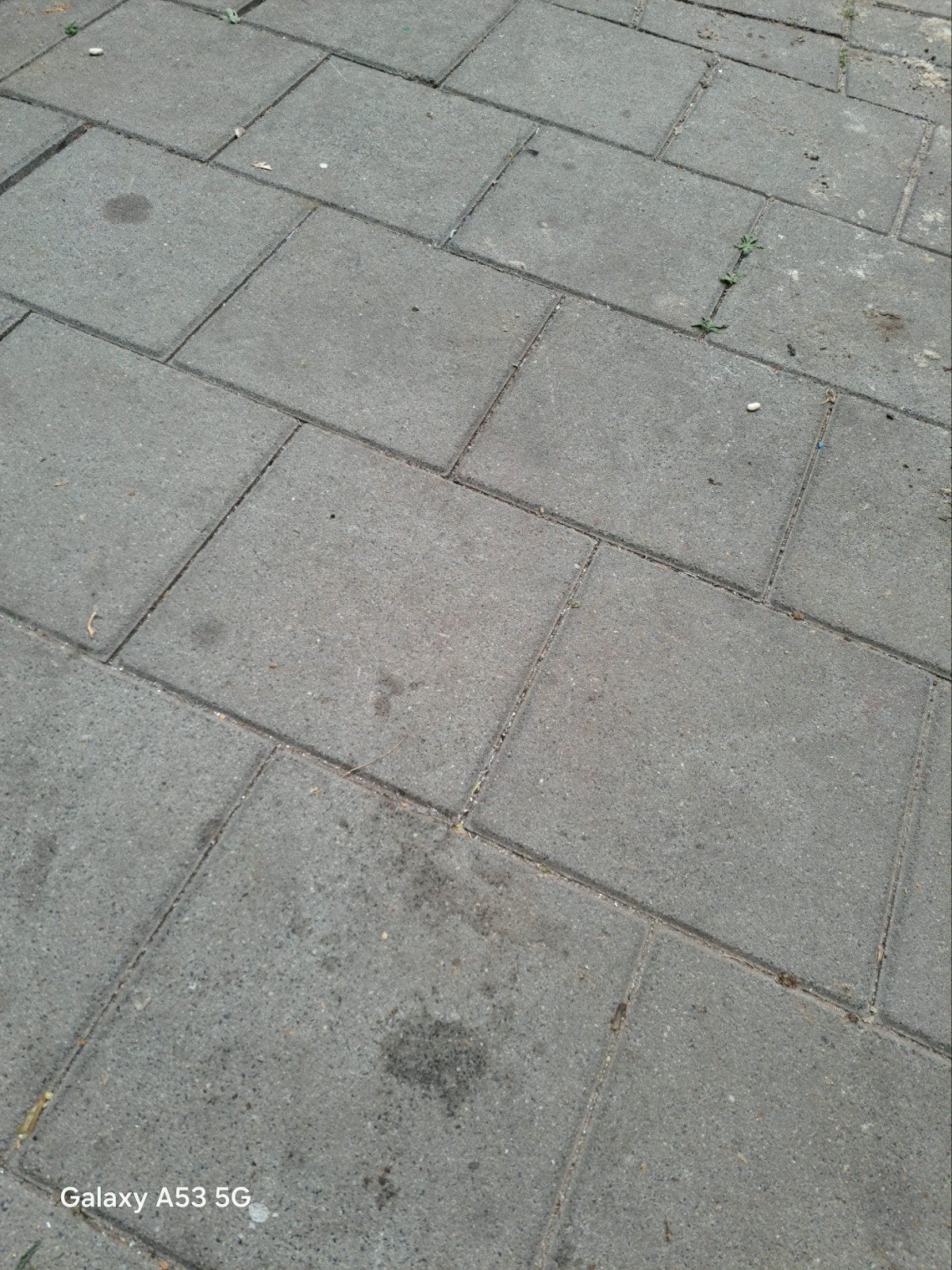Gebruikte betontegels voor tuin of terras, Tuin en Terras, Tegels en Klinkers, Gebruikt, Ophalen of Verzenden, 10 m² of meer, Beton