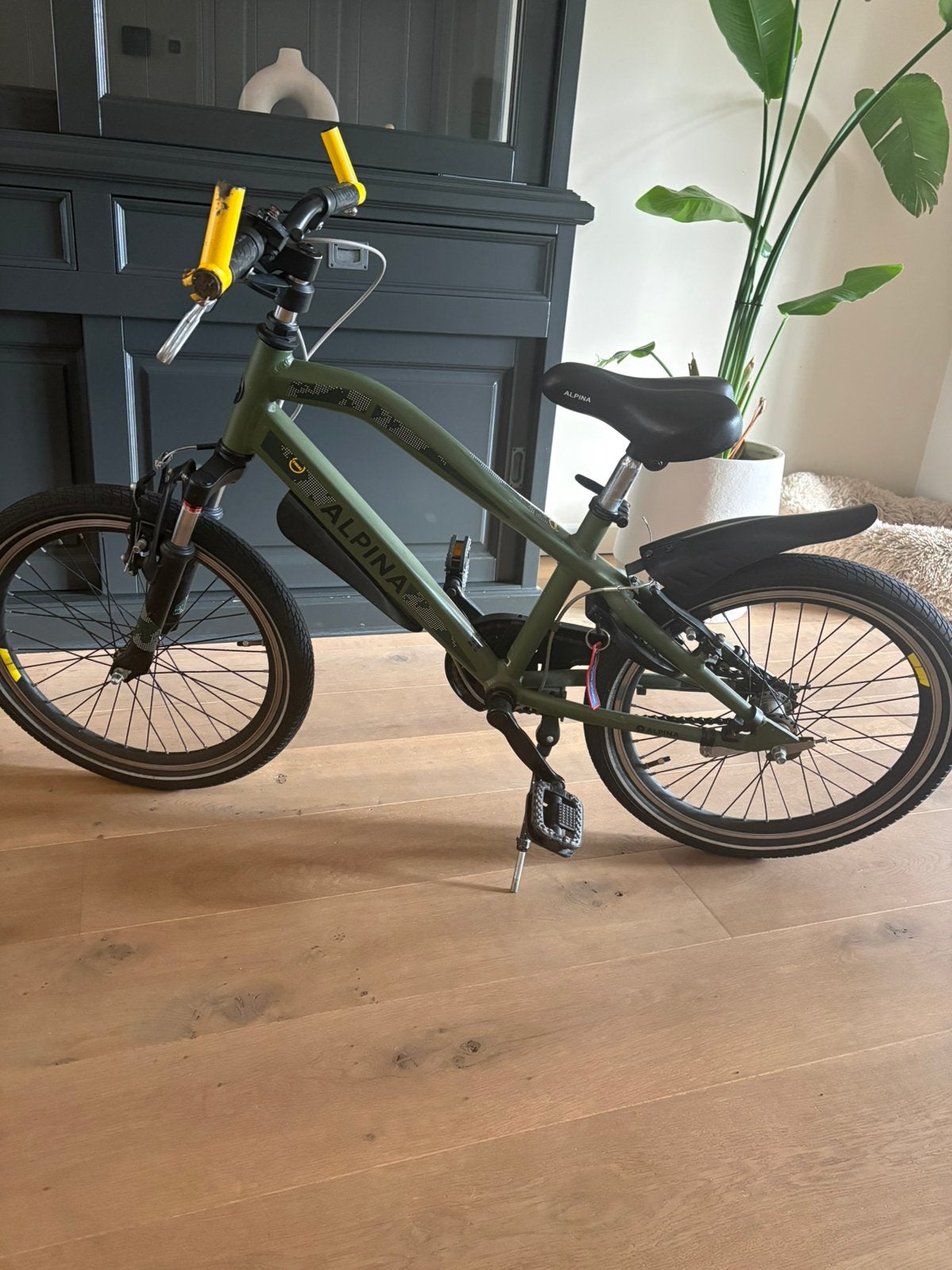 Alpina Trial 20 inch jongens fiets, Fietsen en Brommers, Ophalen, Terugtraprem, Gebruikt, Staal