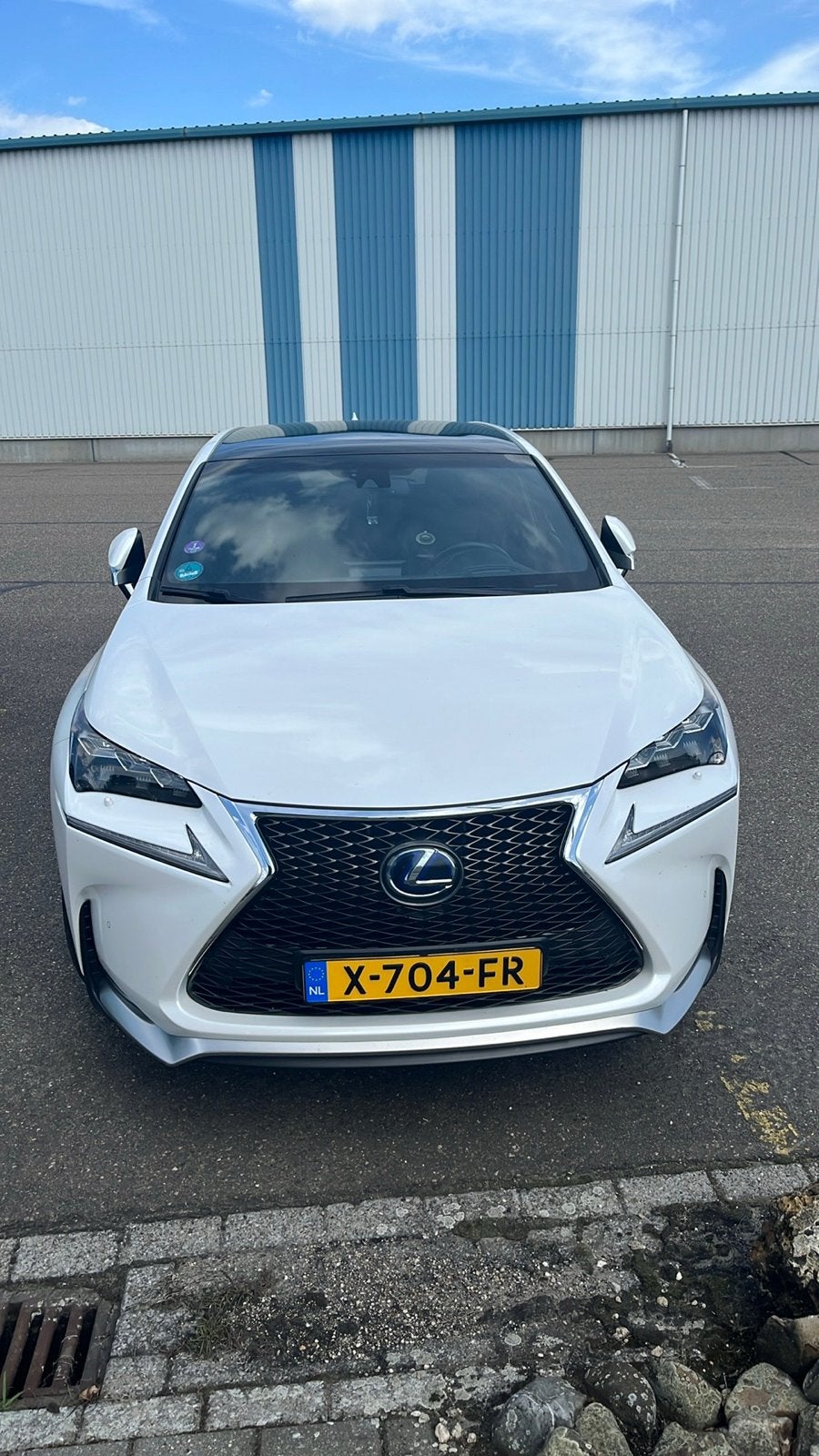 Lexus NX 300H 2.5 E-cvt AWD 2014 Wit, Auto's, Lexus, Automaat, Lichtsensor, Zwart, Leder