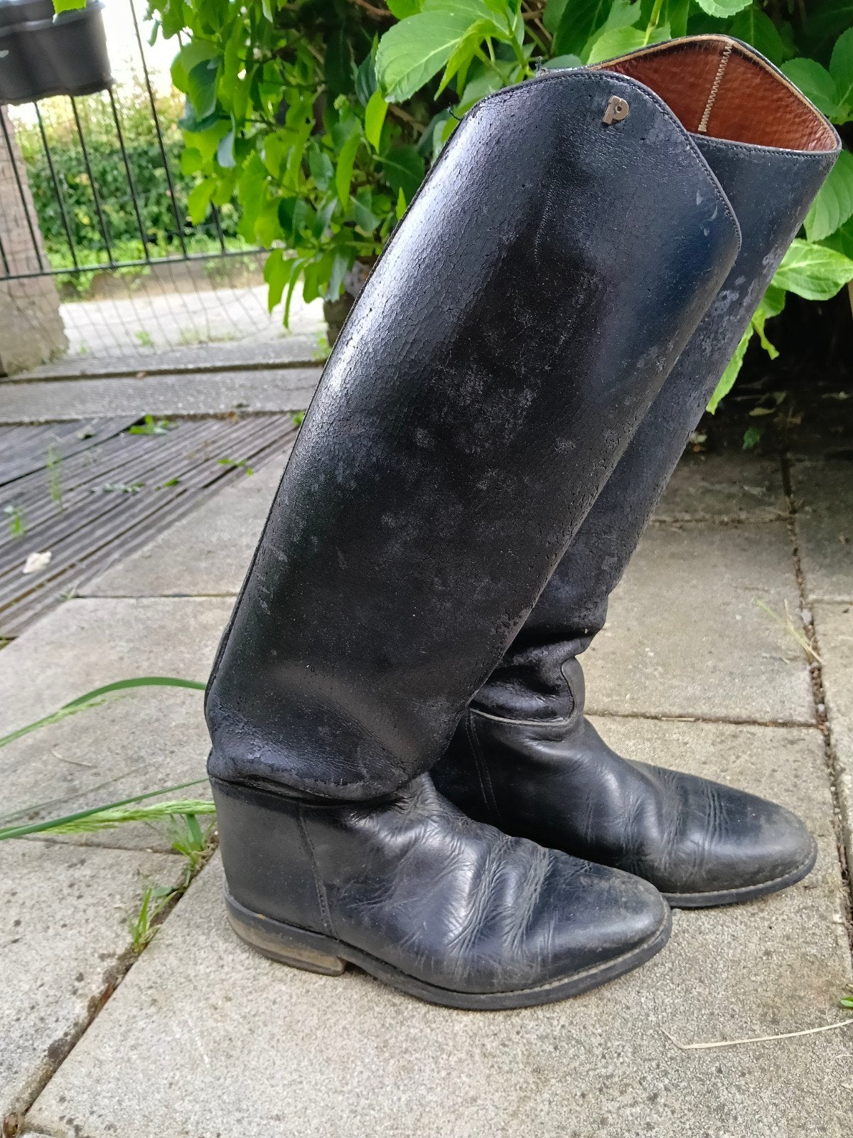 Paard rijlaarzen maat 38, Dieren en Toebehoren, Paardrijkleding, Ophalen of Verzenden, Gebruikt, Dressuur, Schoeisel