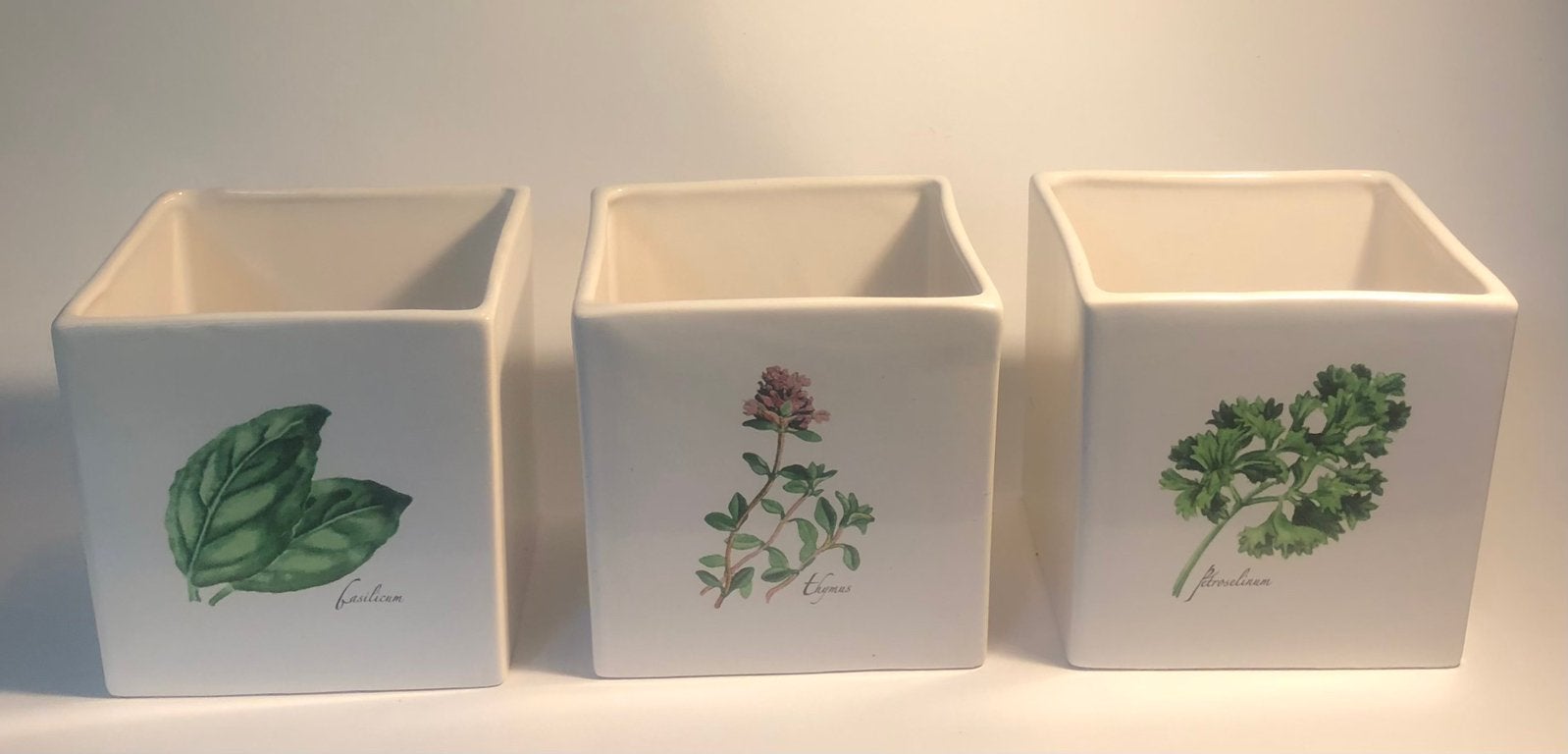 Leuke keramieken kruiden plantenbakjes voor in de keuken, Ophalen of Verzenden, Zo goed als nieuw