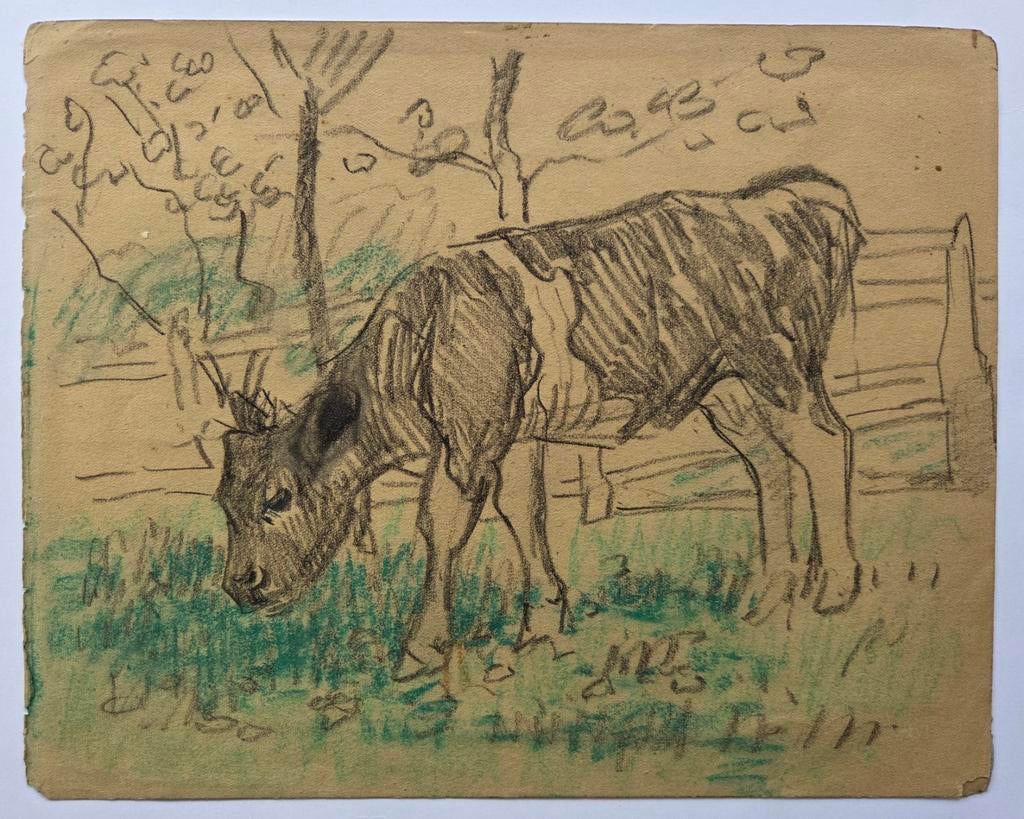 Gert Stegeman 1858-1940. Krijttekening. Koe., Antiek en Kunst, Ophalen of Verzenden