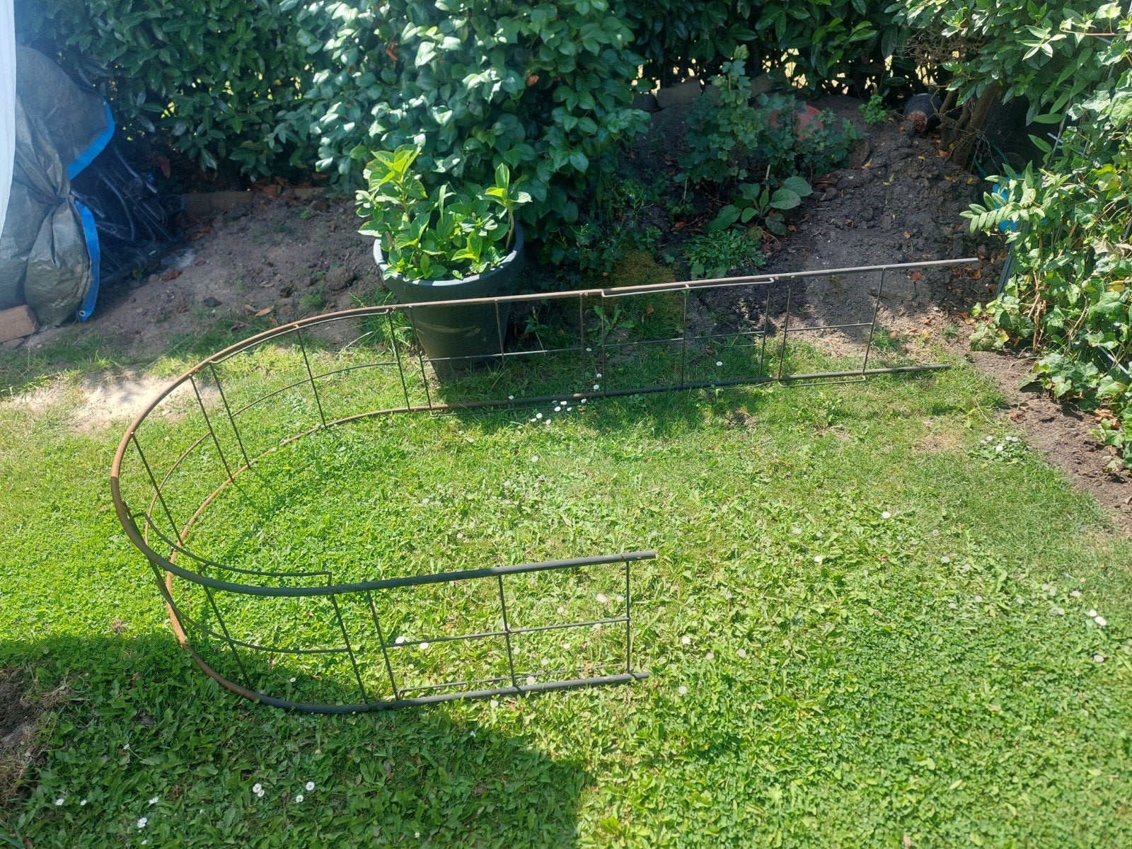 Gebogen ijzeren hekwerk voor tuin of border, Ophalen of Verzenden, Gebruikt, IJzer, Tuinhek