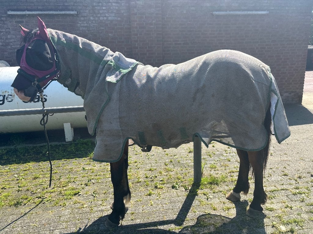 Velder Horseware vliegendeken extra sterk! 185 cm, Dieren en Toebehoren, Afneembare hals, Overige merken, Vliegendeken, Ripstop