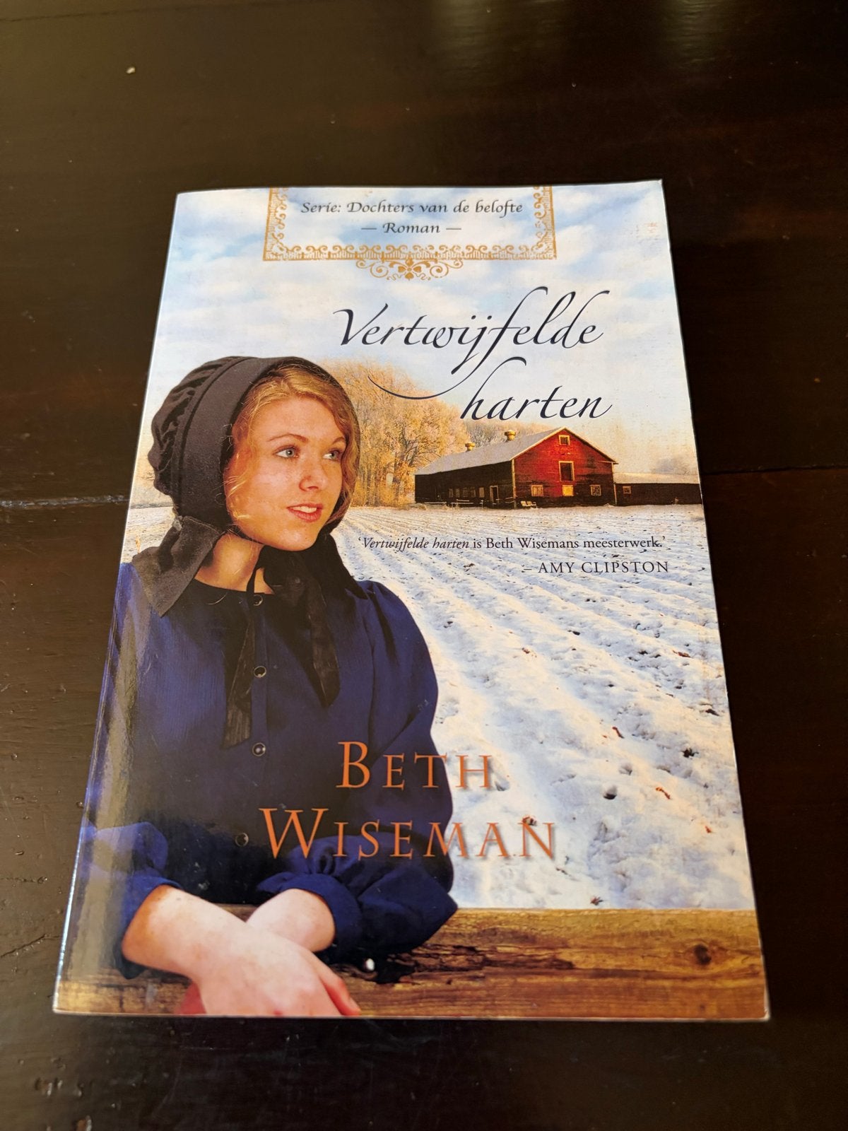 Vertwijfelde harten - Beth Wiseman (Roman), Ophalen of Verzenden, Gelezen, Amerika