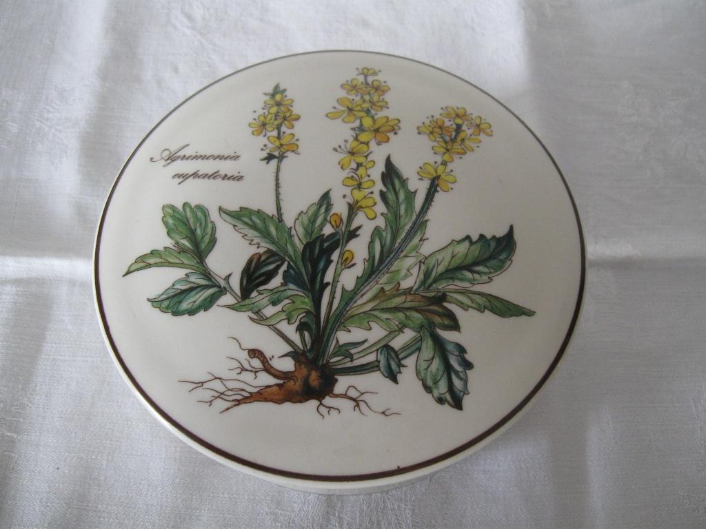 VILLEROY & BOCH deksel doosje Botanica goede staat, Ophalen of Verzenden