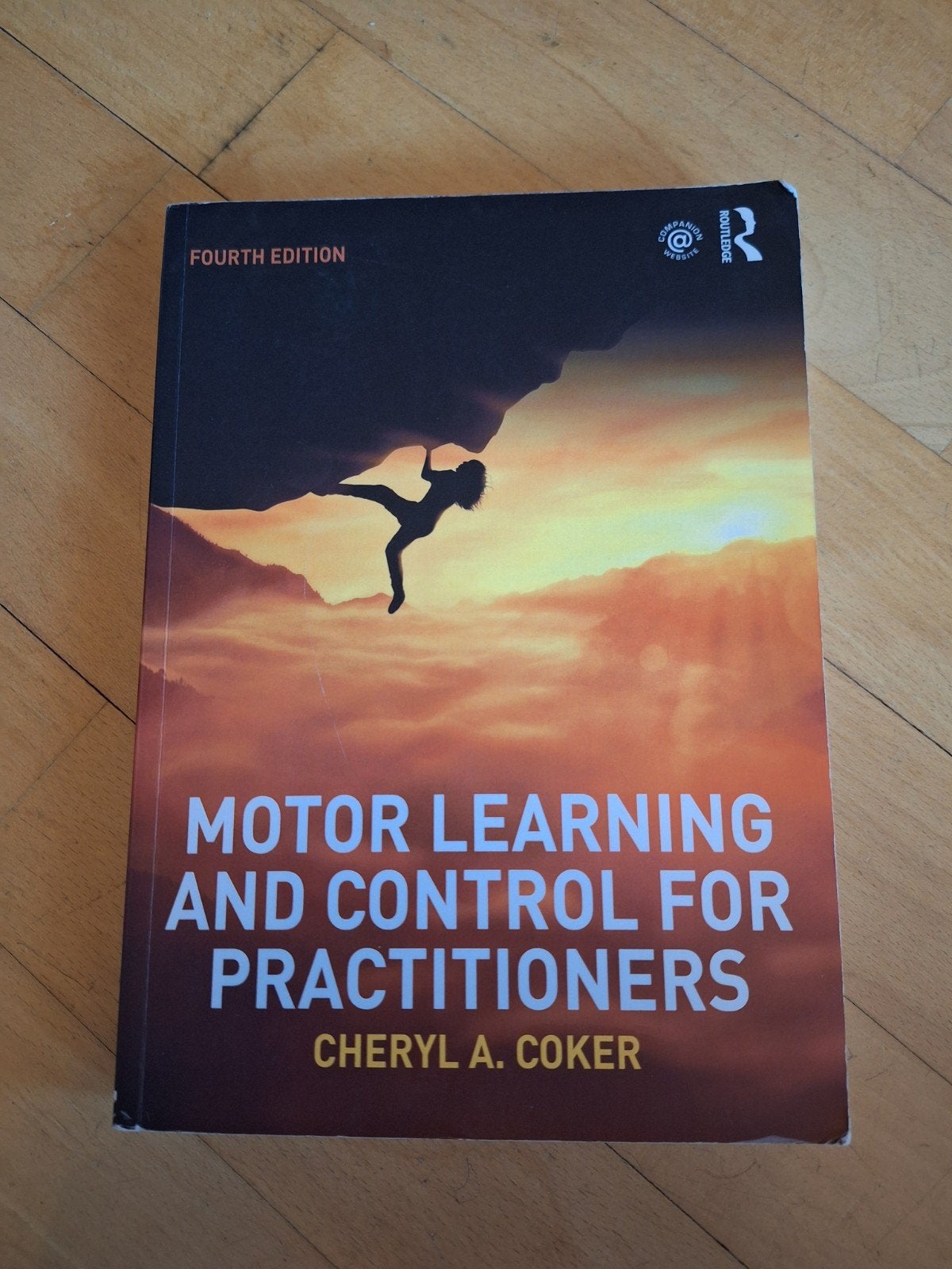 Motor learning and control for practioners, Boeken, Ophalen of Verzenden, Zo goed als nieuw, Overige niveaus