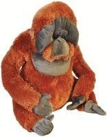Wild Republic Little Biggies pluche Orang-oetan aap, Overige merken, Overige karakters, Nieuw, Ophalen of Verzenden