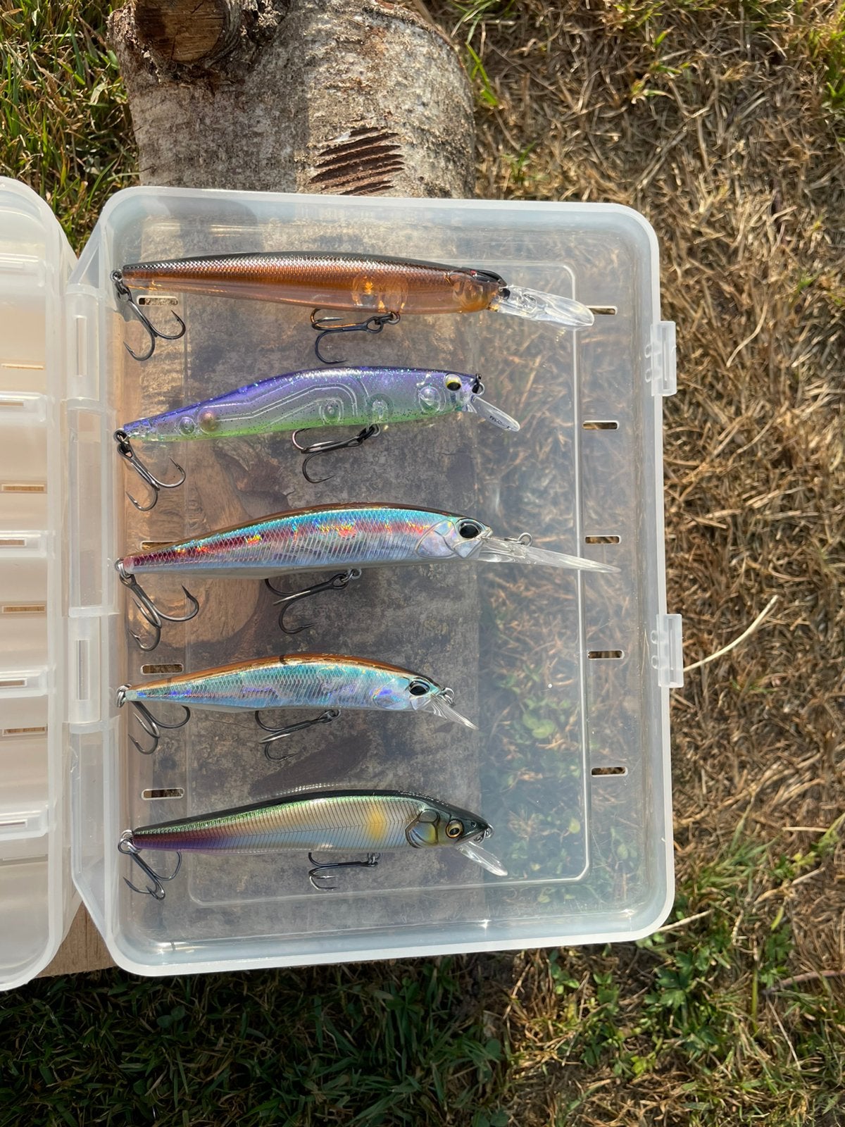 Megabass en DUO Realis jerkbait, Ophalen of Verzenden, Zo goed als nieuw, Overige typen