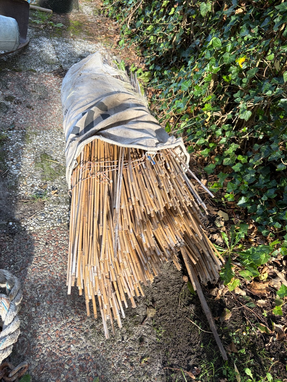 Grote bundel bamboestokken voor tuin of decoratie, Tuin en Terras, Ophalen, Gebruikt