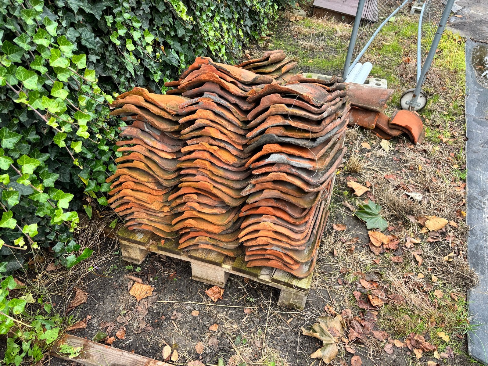 Oud Hollandse Dakpannen - Gebruikt, Ophalen, Gebruikt, Steen of Klei, 15 m² of meer