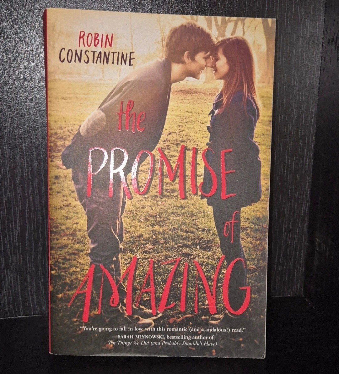 The Promise of Amazing - Robin Constantine (Engels), Ophalen of Verzenden, Zo goed als nieuw, Robin Constantine