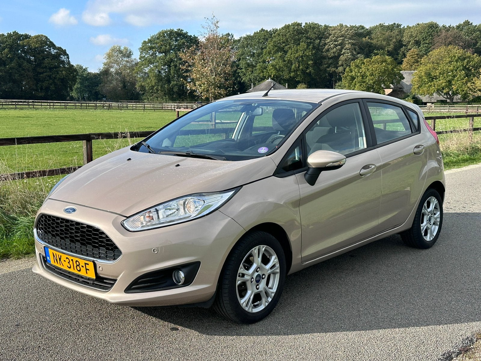 Ford Fiësta 1.0 5Drs Style Ultimate | Navi | PDC V+A, Auto's, Voorwielaandrijving, 40 €/maand, 525 kg, Bruin