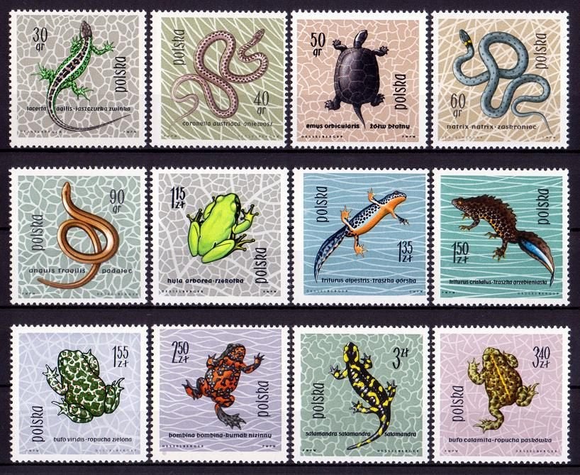 Polen, Dieren, Reptielen, Amfibieën, Mi. 1393-1404 postfris, Verzenden, Polen, Postfris