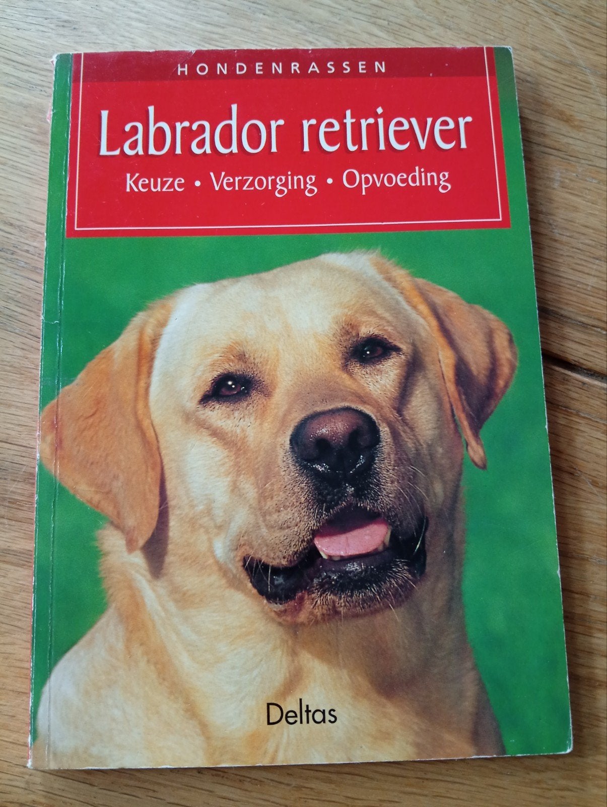 Labrador Retriever - Keuze, Verzorging, Opvoeding, Honden, Ophalen of Verzenden, Onbekend, Gelezen