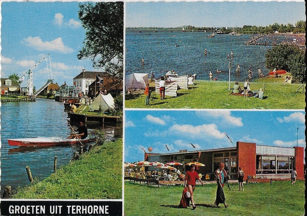 Q2945 Ongelopen ansichtkaart groeten uit Terhorne, Ophalen of Verzenden, 1980 tot heden, Ongelopen