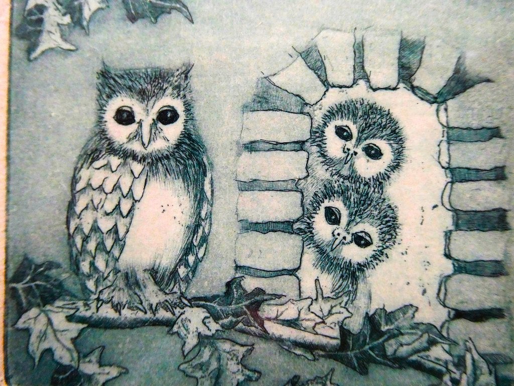 Ets van een uil met 2 jonge uiltjes Le Chaperon De Oppas, Antiek en Kunst, Ophalen of Verzenden, 14 cm, Met tekst, Flora en Fauna