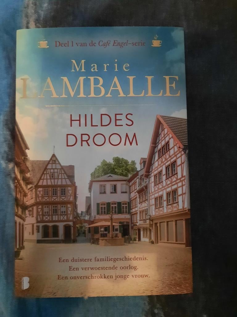 Marie Lamballe - Hildes droom, Ophalen of Verzenden, Gelezen, Marie Lamballe