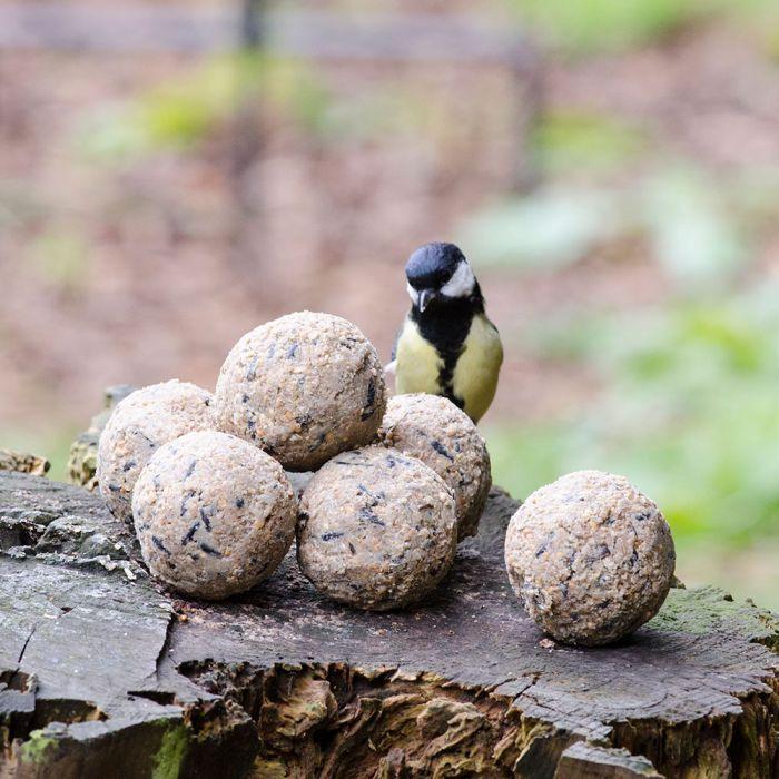 Mezenbol zonder net 100 stuks - Top Kwaliteit, Ophalen, Vogel