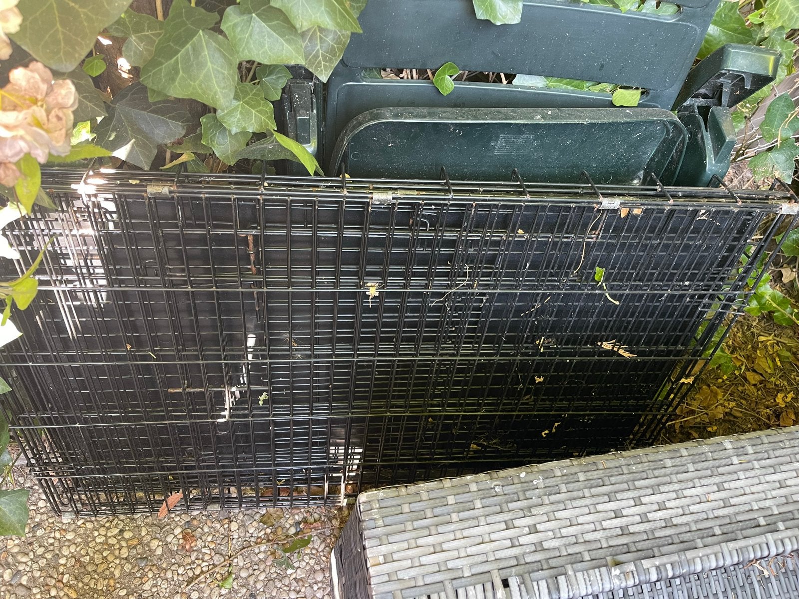 Hondenbench, Ophalen, Zo goed als nieuw