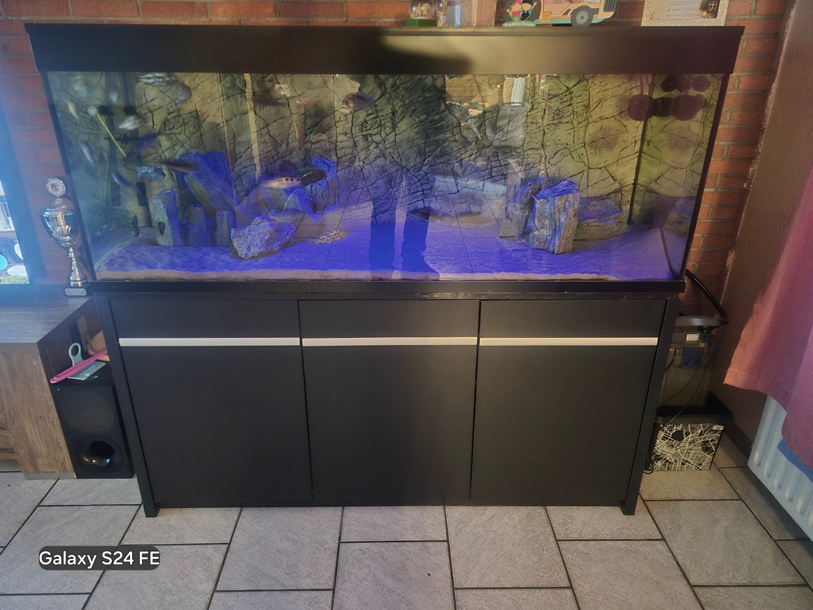 aquarium 1600x600x650, Ophalen, Zo goed als nieuw
