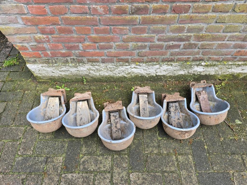 Drinkbakken weiland paarden en koeien
