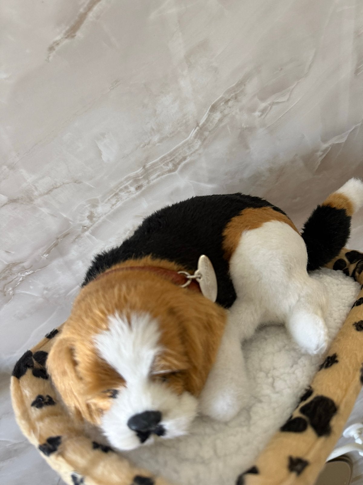 Sweet Peetz Beweegbare Hond - Realistisch Speelgoed, Overige merken, Zo goed als nieuw, Interactief, Hond