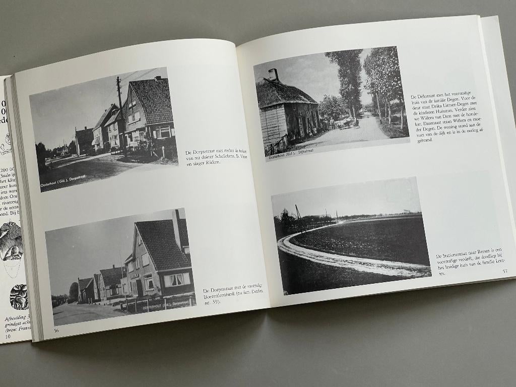 Ostreholt tot Oosterhout geschiedenis van een Betuws dorp  , Boeken, Geschiedenis | Stad en Regio, Ophalen of Verzenden, 20e eeuw of later