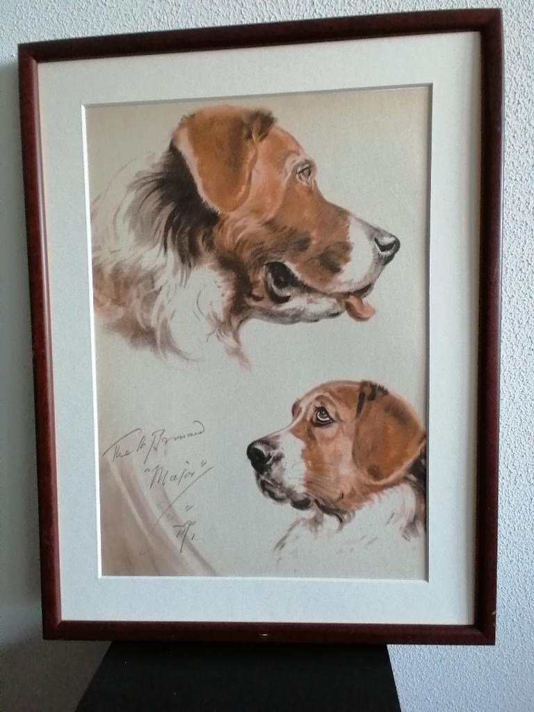 St. Bernhard Honden Origineel Litho Diana Thorne Lijst 1944, Antiek en Kunst, Ophalen of Verzenden