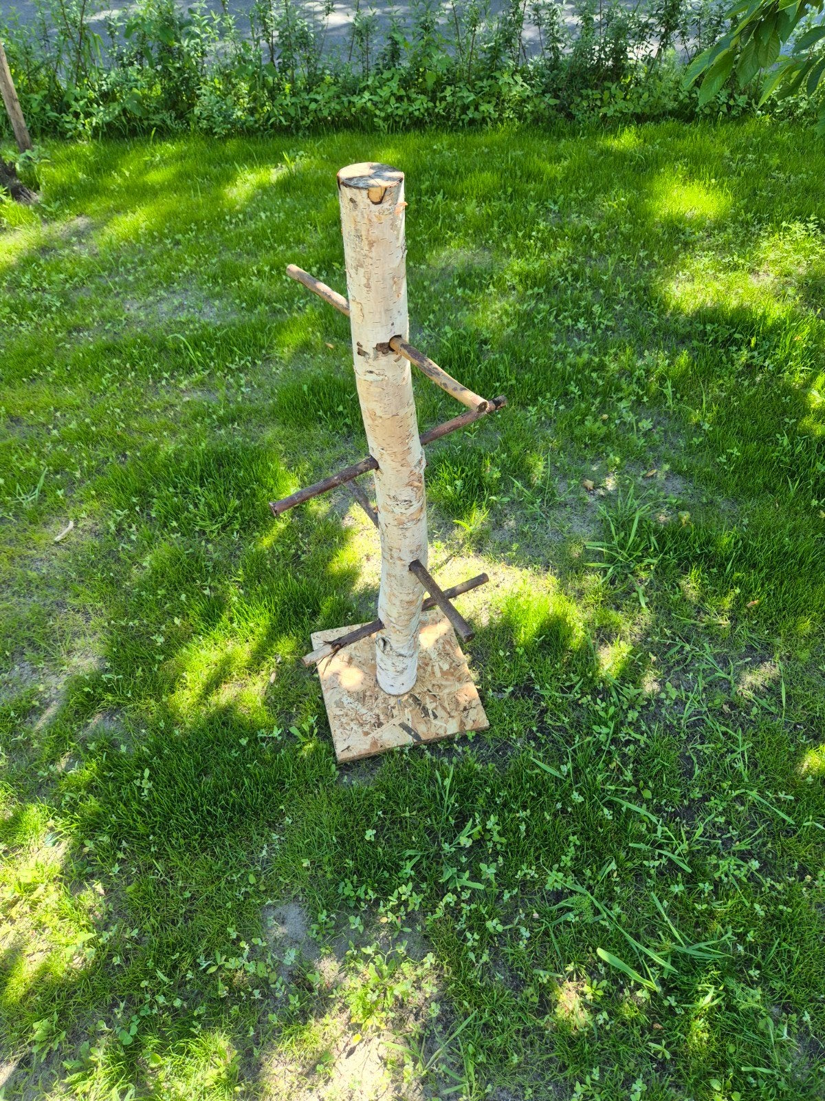 Boom voor in kippenhok, Ophalen, Gebruikt, Kippenhok of Kippenren