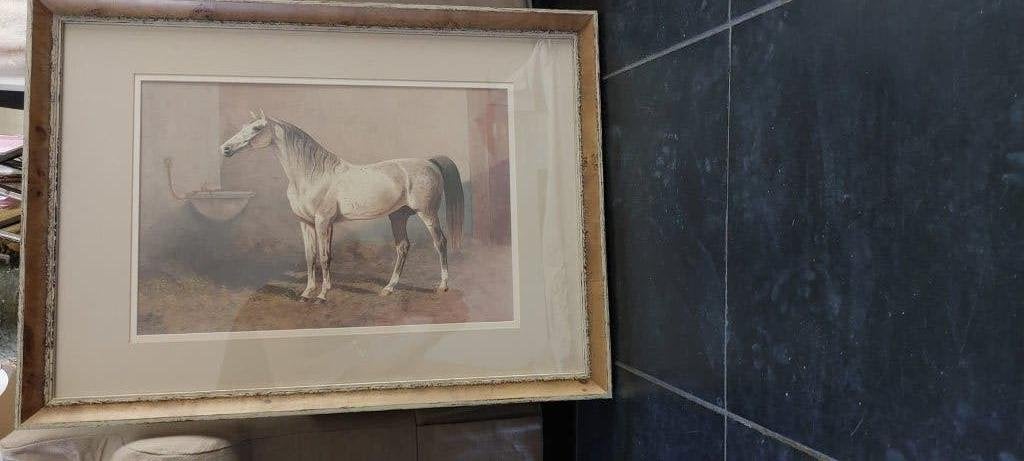 Mooi ingelijste kunstwerken van paarden, Antiek en Kunst, Ophalen, Ingelijst, Dieren, Papier