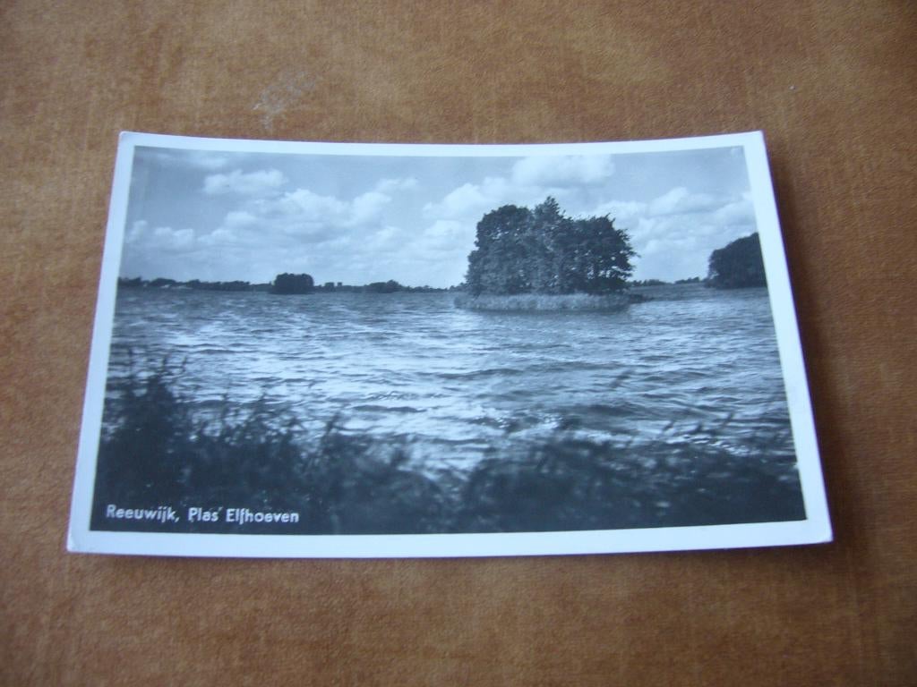 REEUWIJK  =  PLAS ELFHOEVEN, Verzamelen, Ansichtkaarten | Nederland, Ophalen of Verzenden, 1940 tot 1960, Gelopen