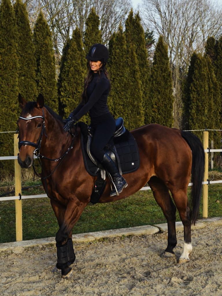 Weidemaatje/ knuffelpaard/grondwerk/fokmerrie, Dieren en Toebehoren, Stalling en Weidegang