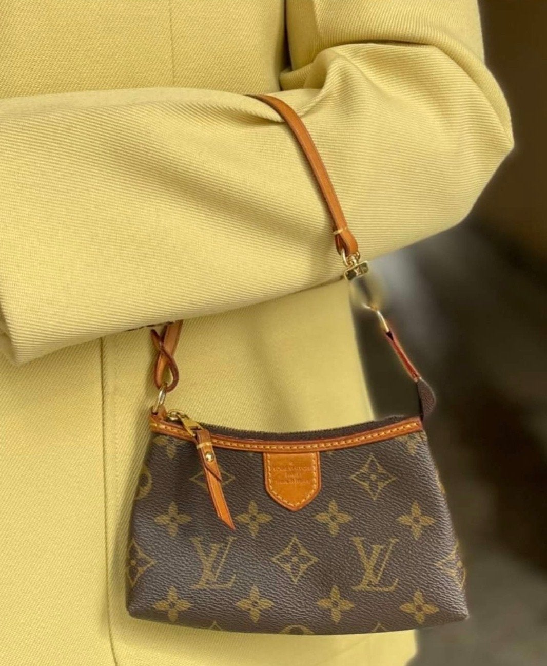 Louis Vuitton Pochette Accessoires Monogram, Ophalen of Verzenden, Gebruikt, Bruin, Schoudertasje