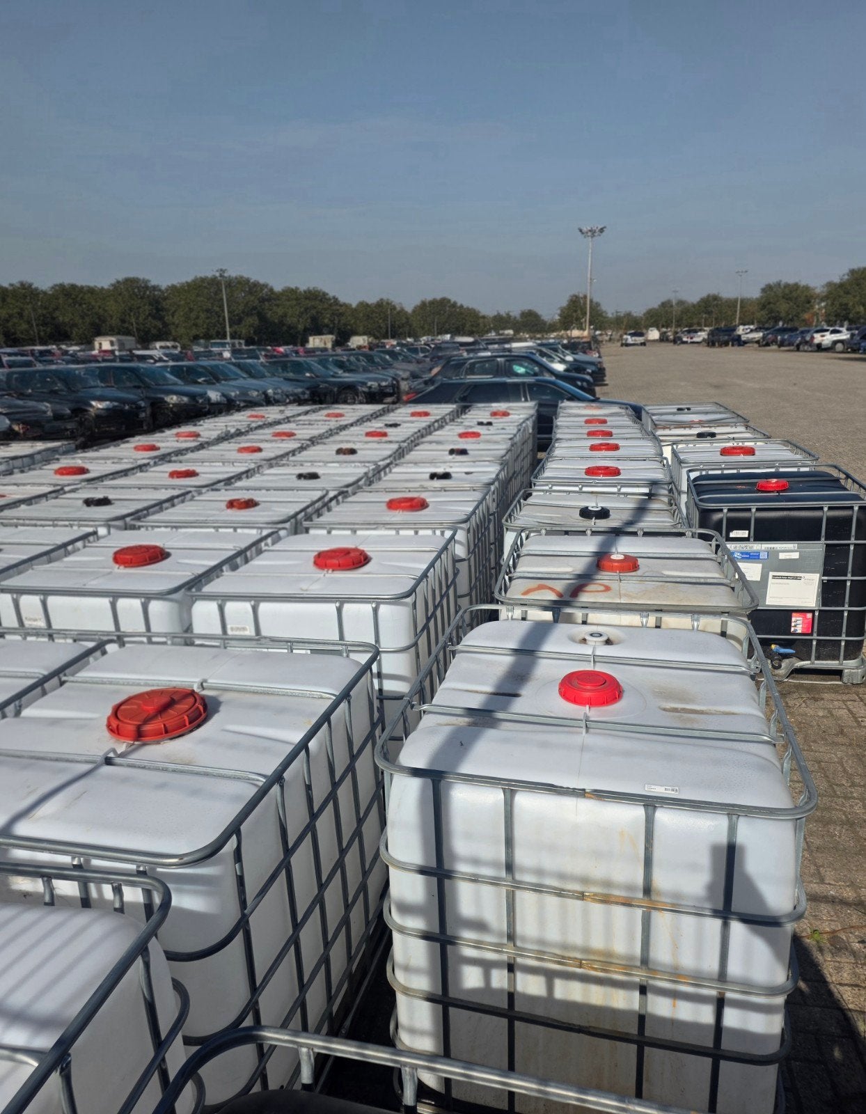 25 IBC Vaten / Gereinigd, Eén persoon