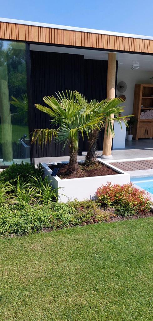 grote plantenbakken in het wit,antraciet en in het zwart, Tuin en Terras, Ophalen of Verzenden, Nieuw, Metaal, Balkon
