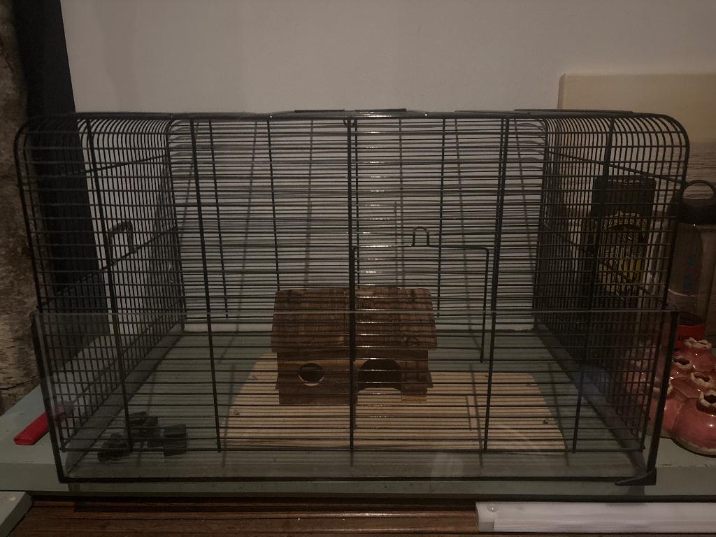 Hamster kooi, Kooi, Minder dan 75 cm, Ophalen, Minder dan 60 cm