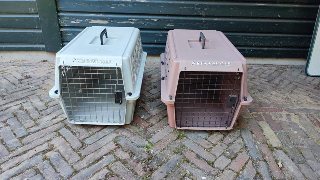 Transportboxen. Ook per stuk te koop, Ophalen