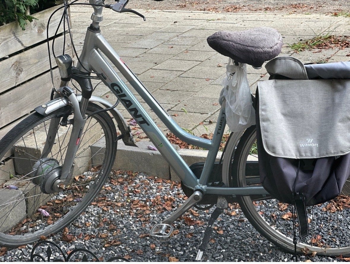 Giant Twist Elektrische Fiets - Goede Staat met wat werk, Fietsen en Brommers, Elektrische fietsen, Ophalen, Gebruikt, Giant, 51 tot 55 cm