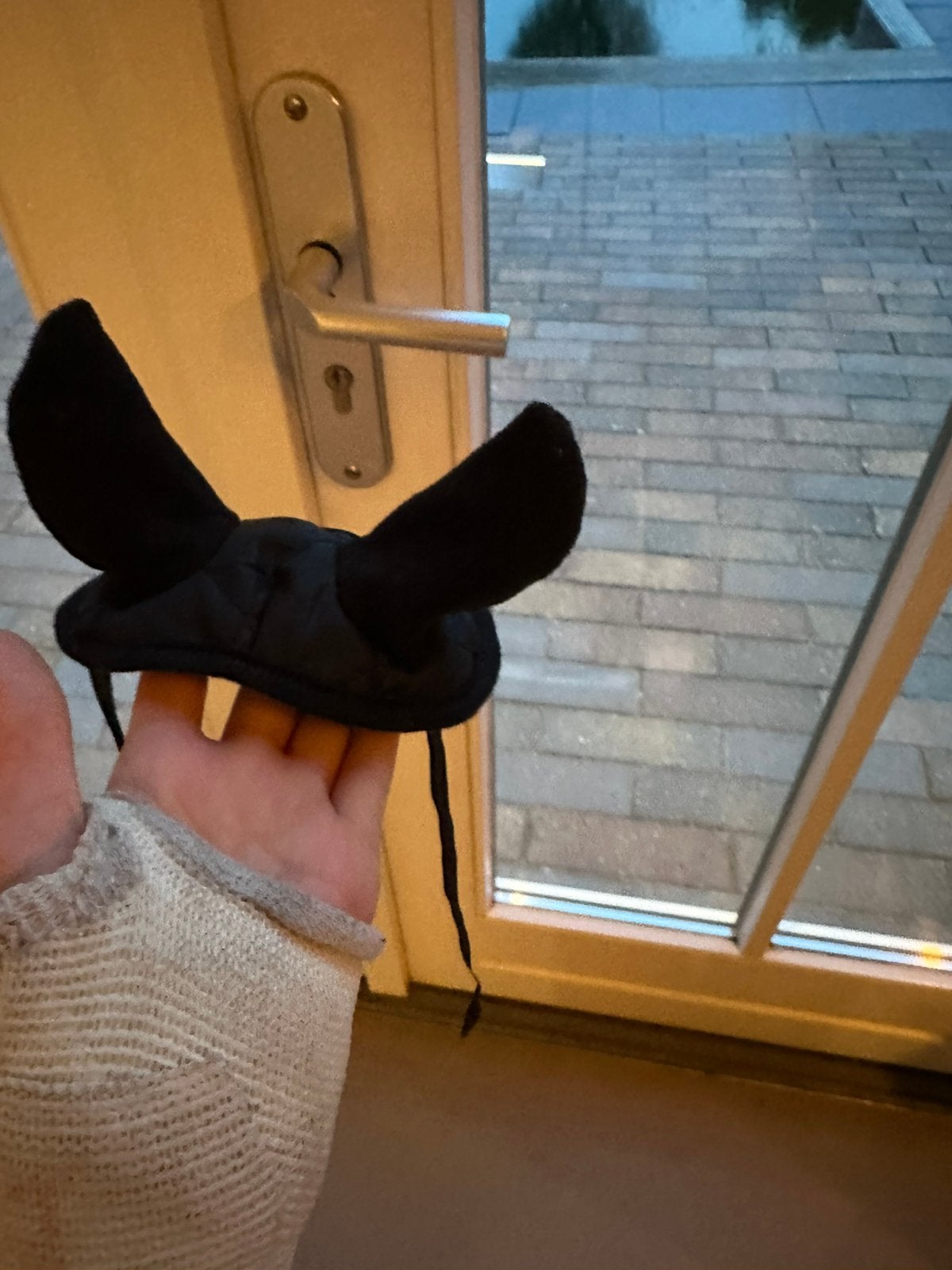 Oornetje zwart, Dieren en Toebehoren, Ophalen of Verzenden, Nieuw, Zwart, Oornetje