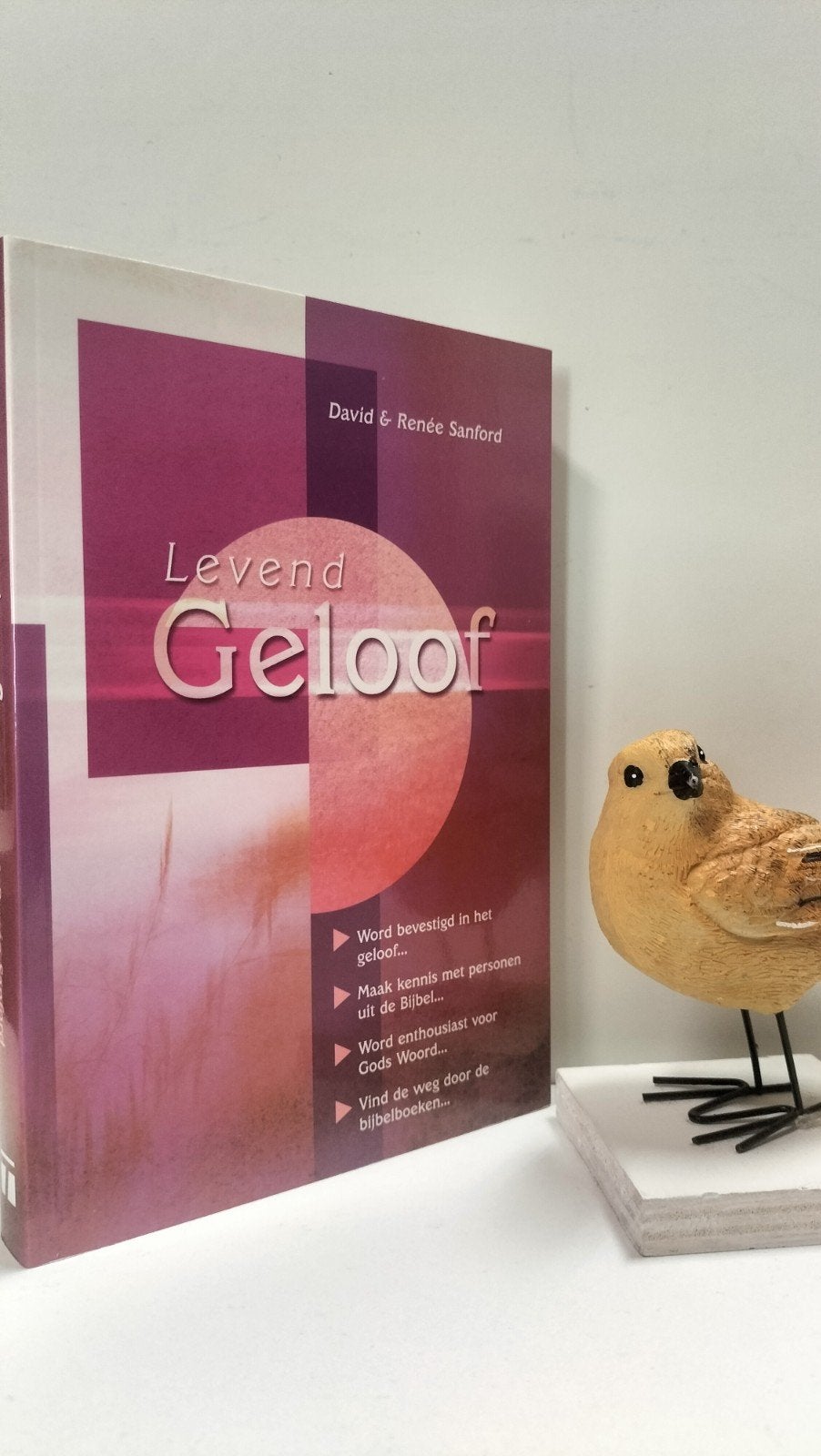 Sanford, David & Renee; Levend geloof, Ophalen of Verzenden, Gelezen, Christendom | Protestants