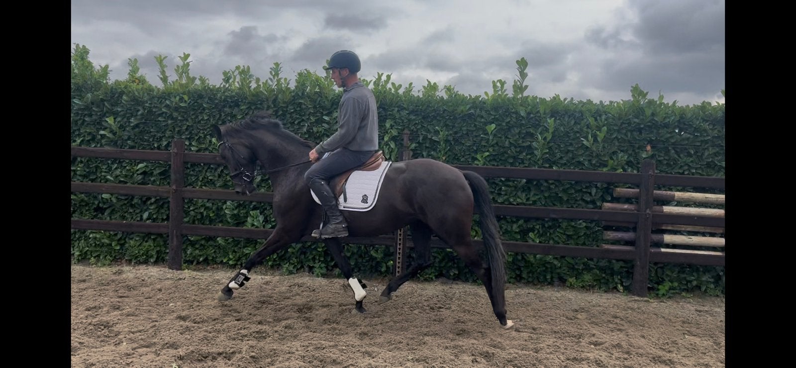 3 jarige brave Mowgli x Ironman, Merrie, Met stamboom, Dressuurpaard, Zadelmak
