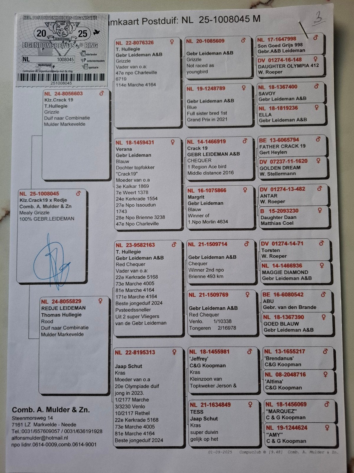 Leideman soort, Dieren en Toebehoren, Mannelijk
