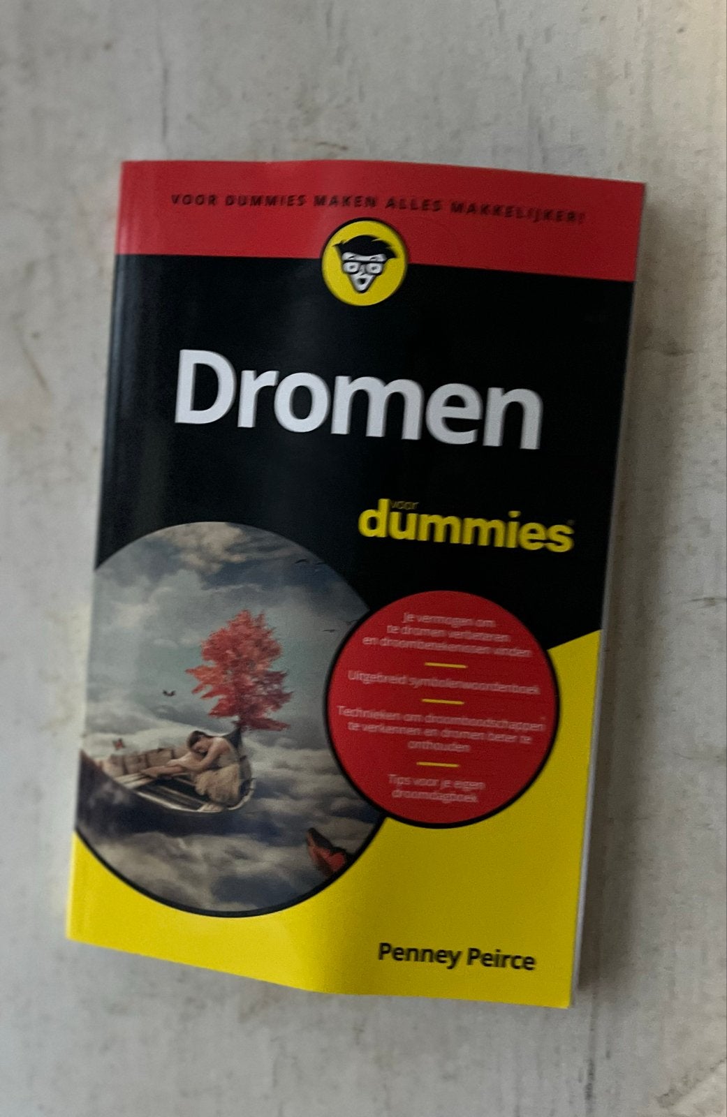 Dromen voor Dummies - Leer je dromen begrijpen, Ophalen of Verzenden, Zo goed als nieuw, Overige onderwerpen, Instructieboek