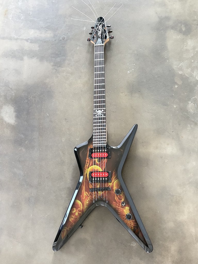 explorer dimebag model, Ophalen of Verzenden, Solid body, Overige merken