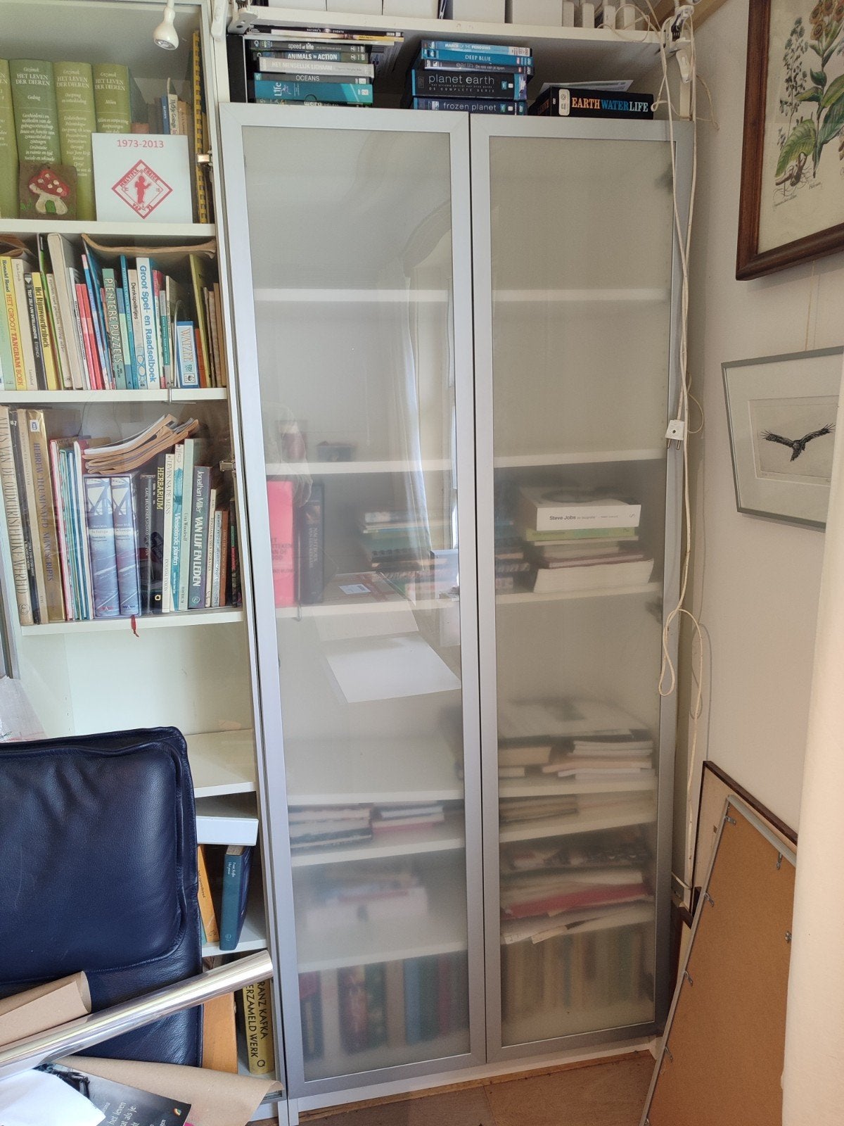 2x Ikea Boekenkast met matglazen deuren (200x80x30cm), Huis en Inrichting, Ophalen, 50 tot 100 cm, 150 tot 200 cm, 25 tot 50 cm